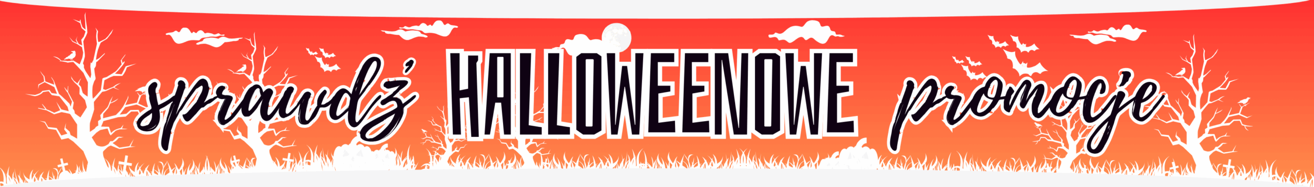 promocje (3500 x 500 px)